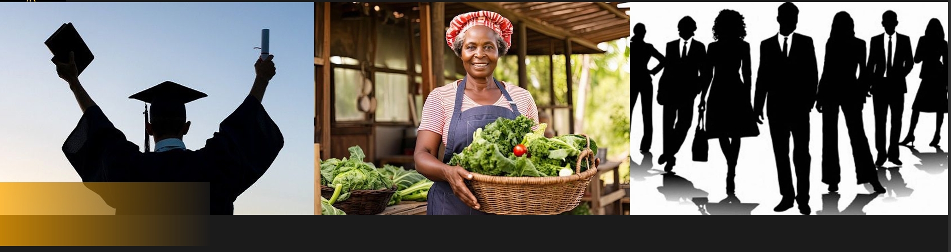 Twizatino Solutions Limited Target Market