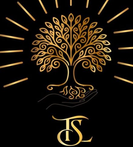 Twizatino Solutions Limited